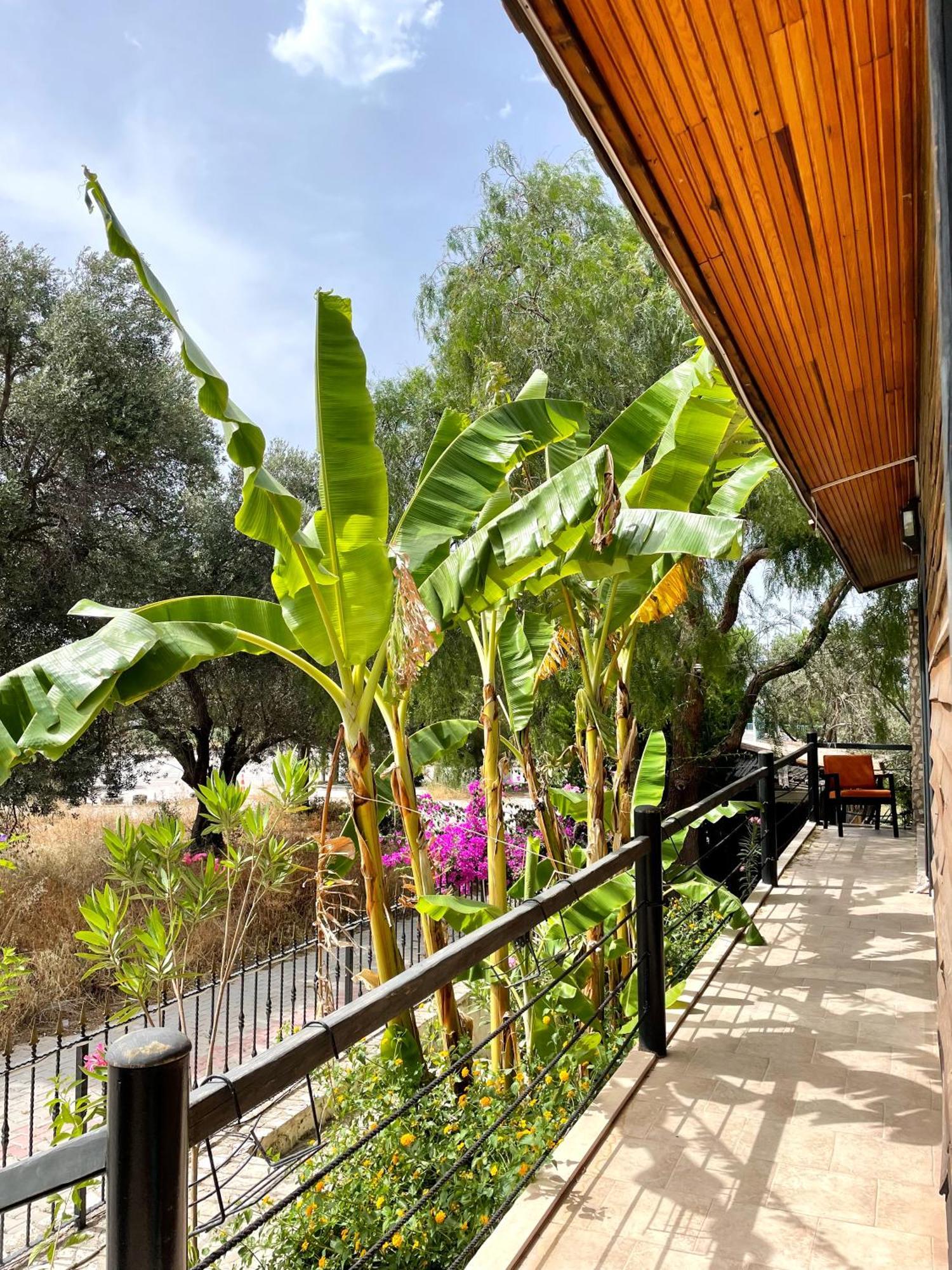 Ata Boutique Hotel Çeşme Exterior foto